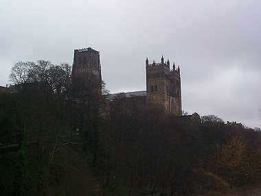 Brooding